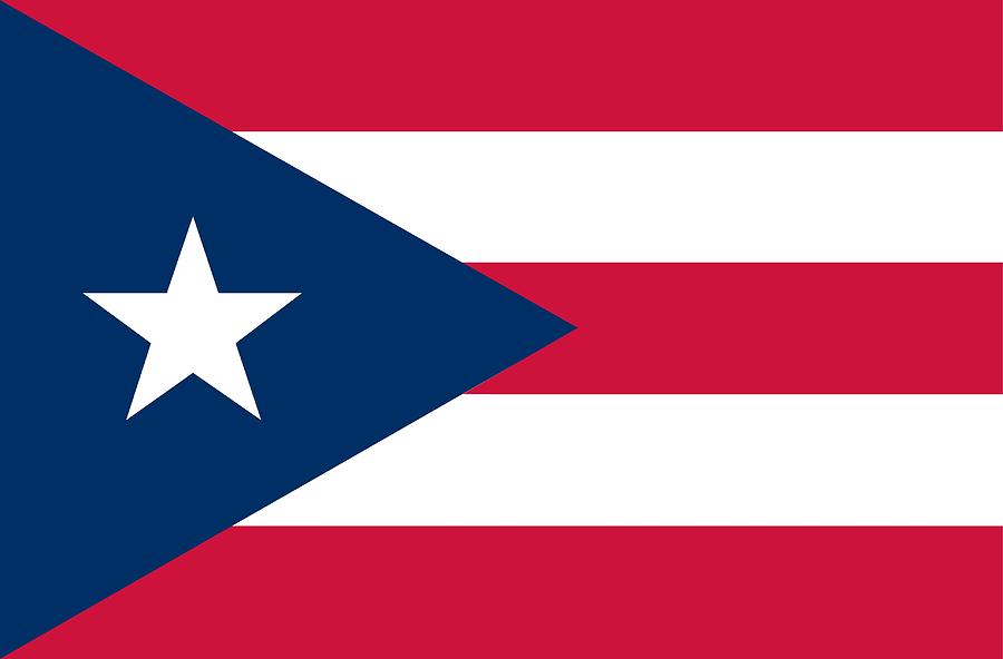 Flag of Puerto Rico Painting by Unknown