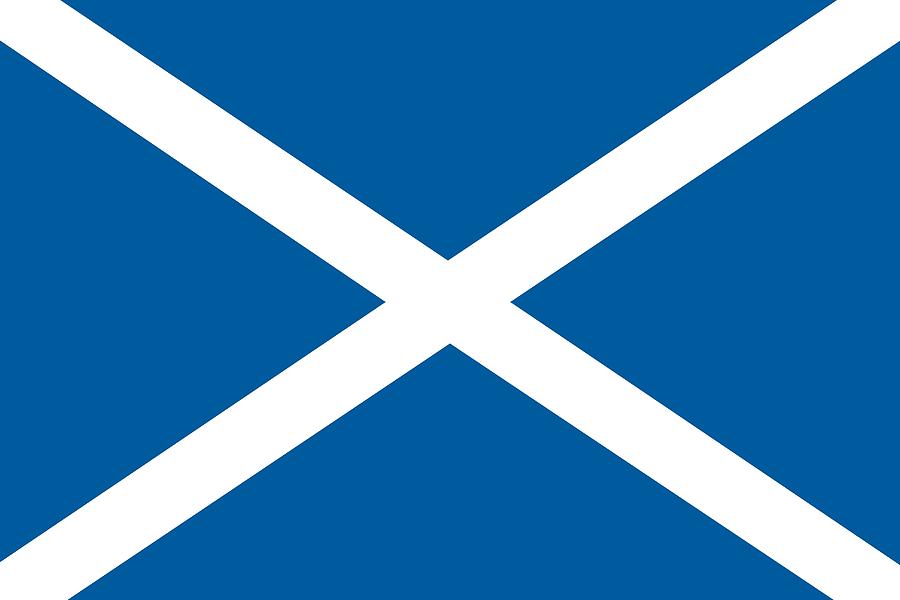 Flag of Scotland Painting by Unknown