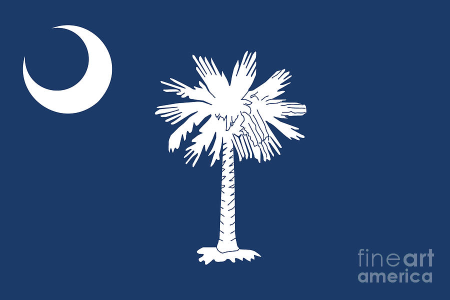 Flag of South Carolina Digital Art by Sterling Gold