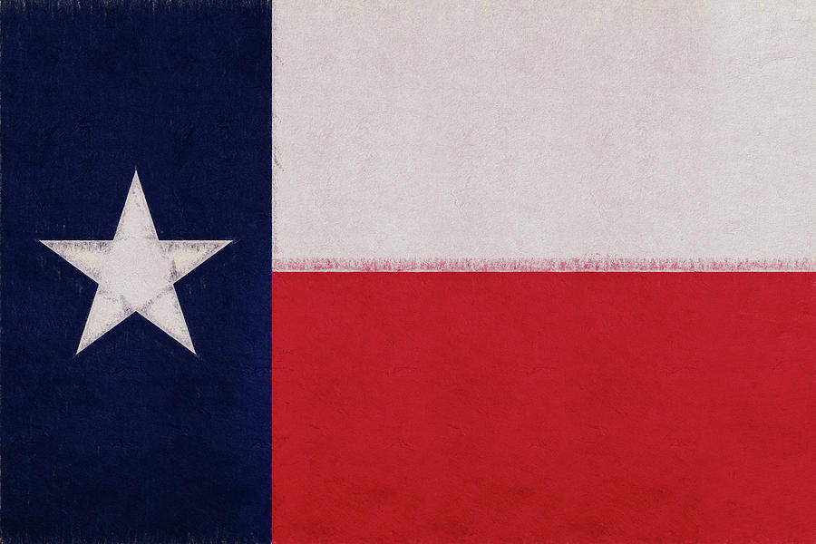 Flag of Texas Grunge Digital Art by Roy Pedersen