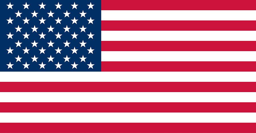 Flag of the United States of America Painting by American School