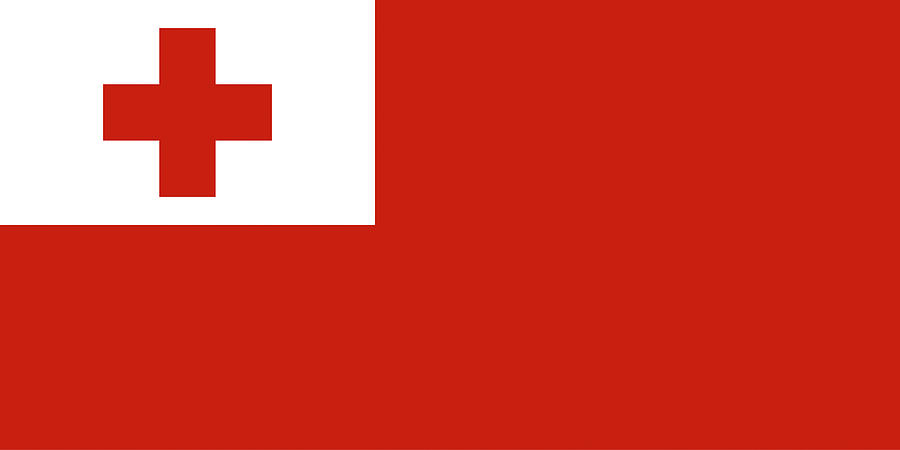 Flag Digital Art - Flag of Tonga by Roy Pedersen