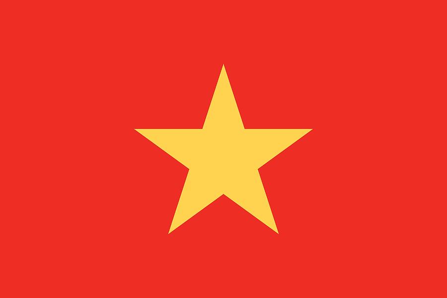 Flag of Vietnam Painting by Unknown
