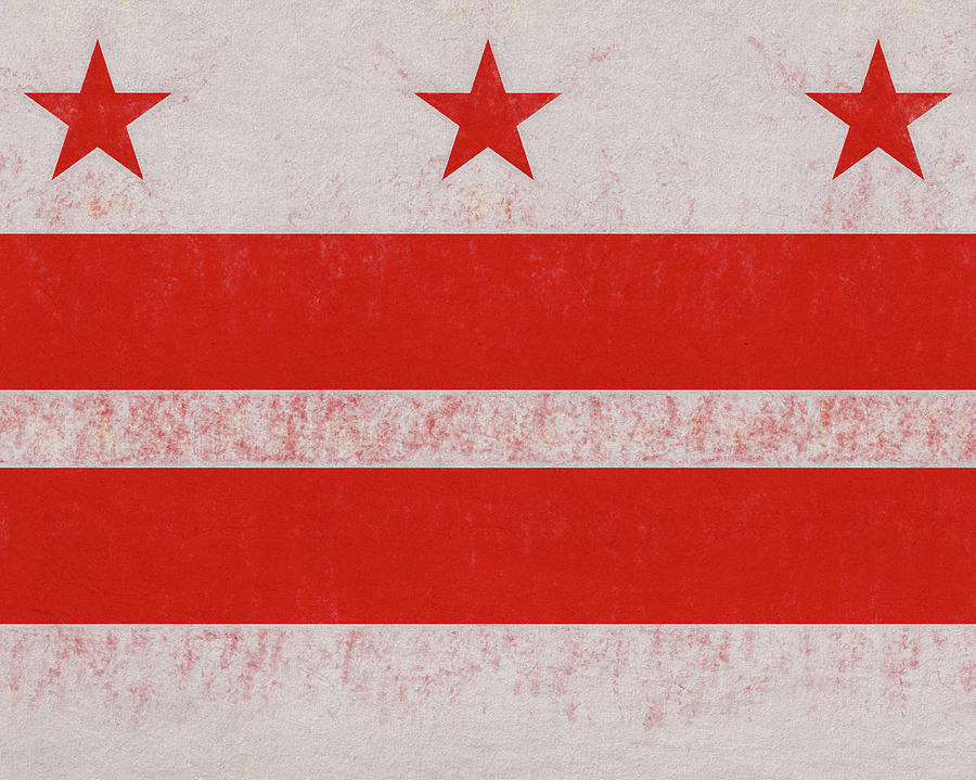 Flag of Washington DC Grunge Digital Art by Roy Pedersen