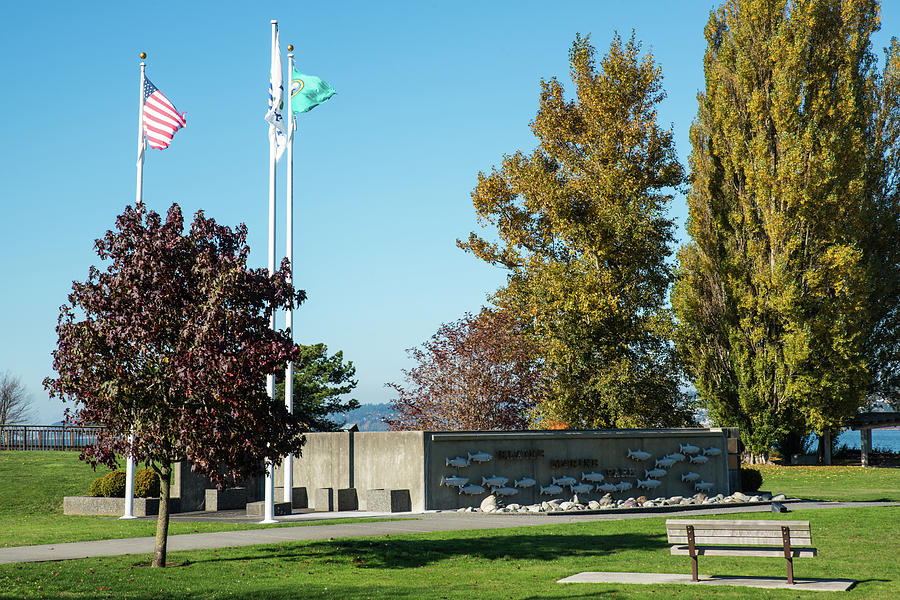 Flag Poles and Tall Trees Photograph by Tom Cochran