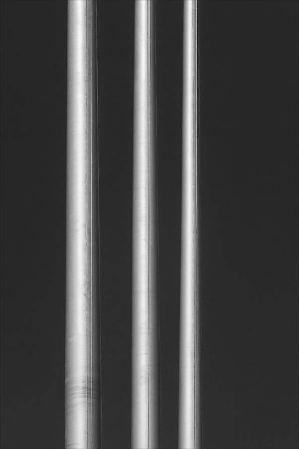 Flag Poles Photograph by Robert Ullmann