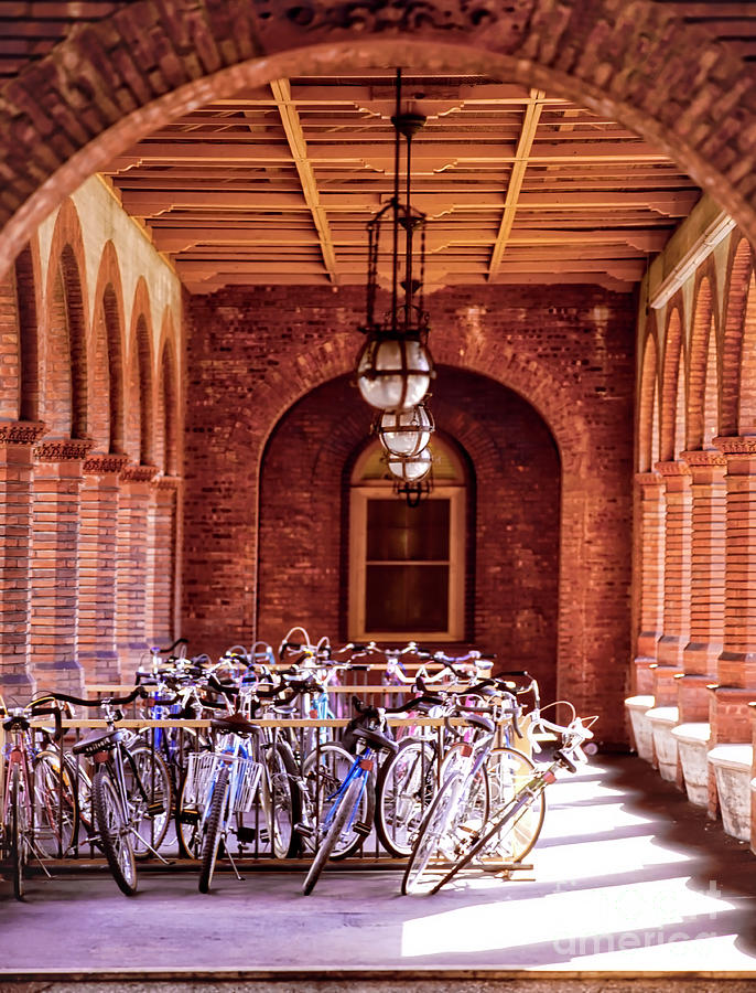 Flagler College bike rack hallway St Augustine Florida Photograph by Tom Jelen