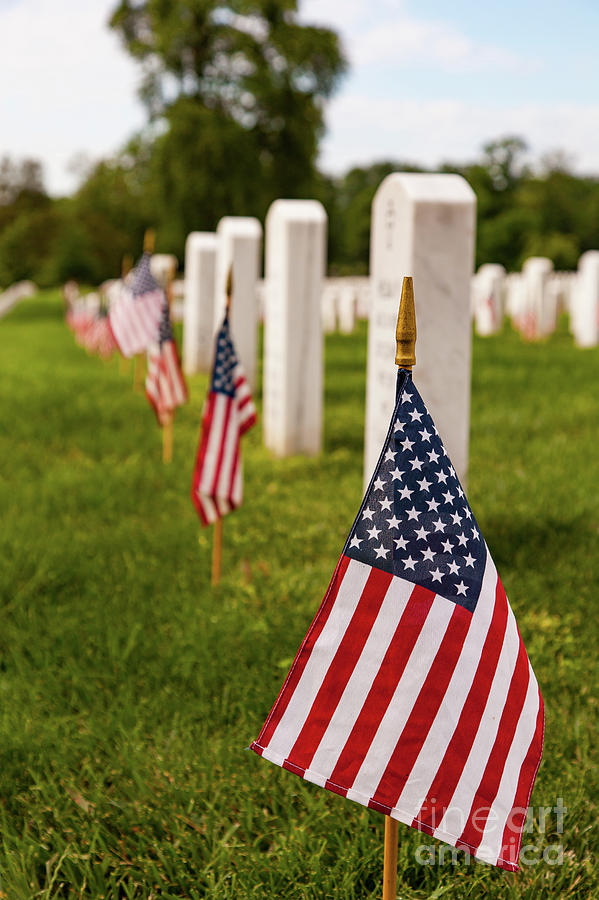 Flags at Arlington Cemetery Photograph by George Lehmann