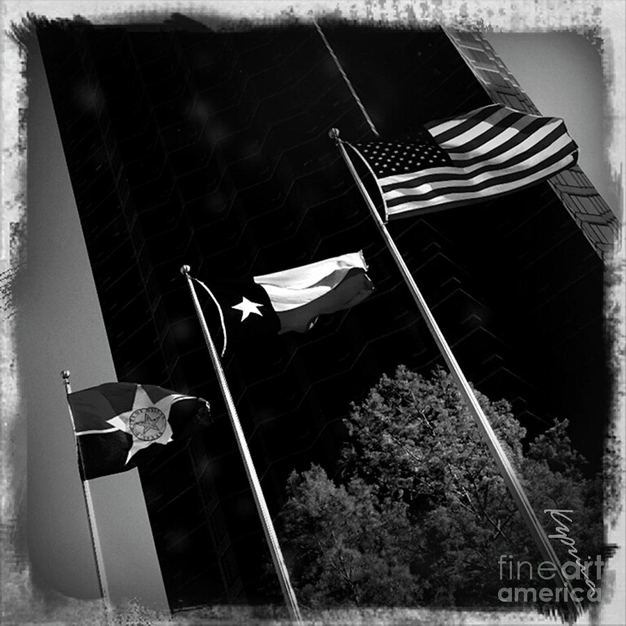 Flags, Black and White Photograph by Greg Kopriva