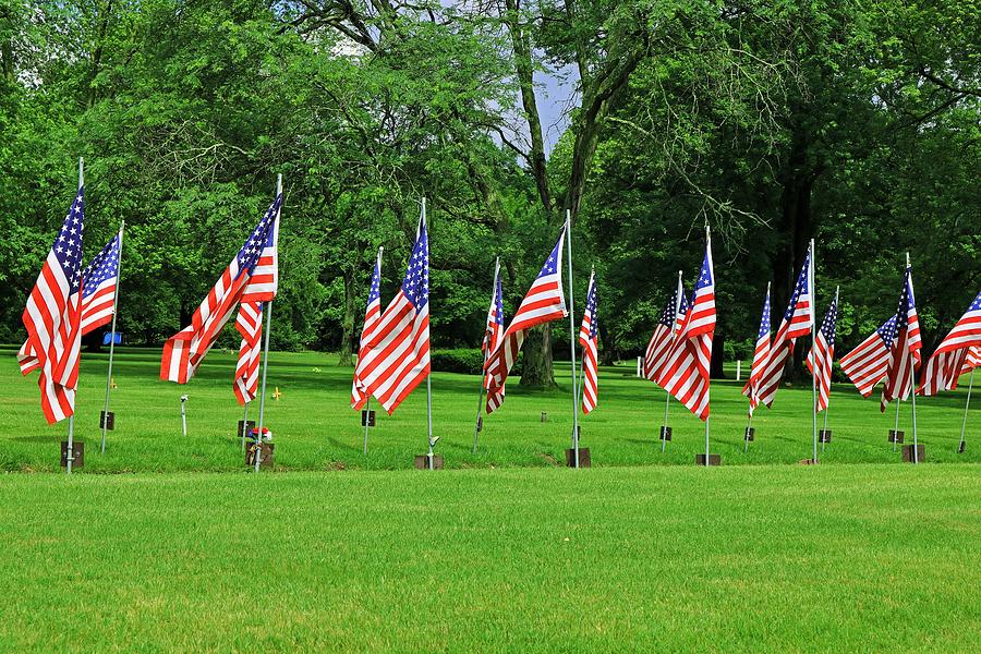 Flags Flying in Memoriam Photograph by Michiale Schneider
