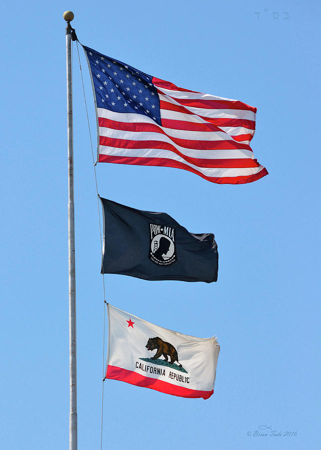 Flags of Honor Photograph by Brian Tada