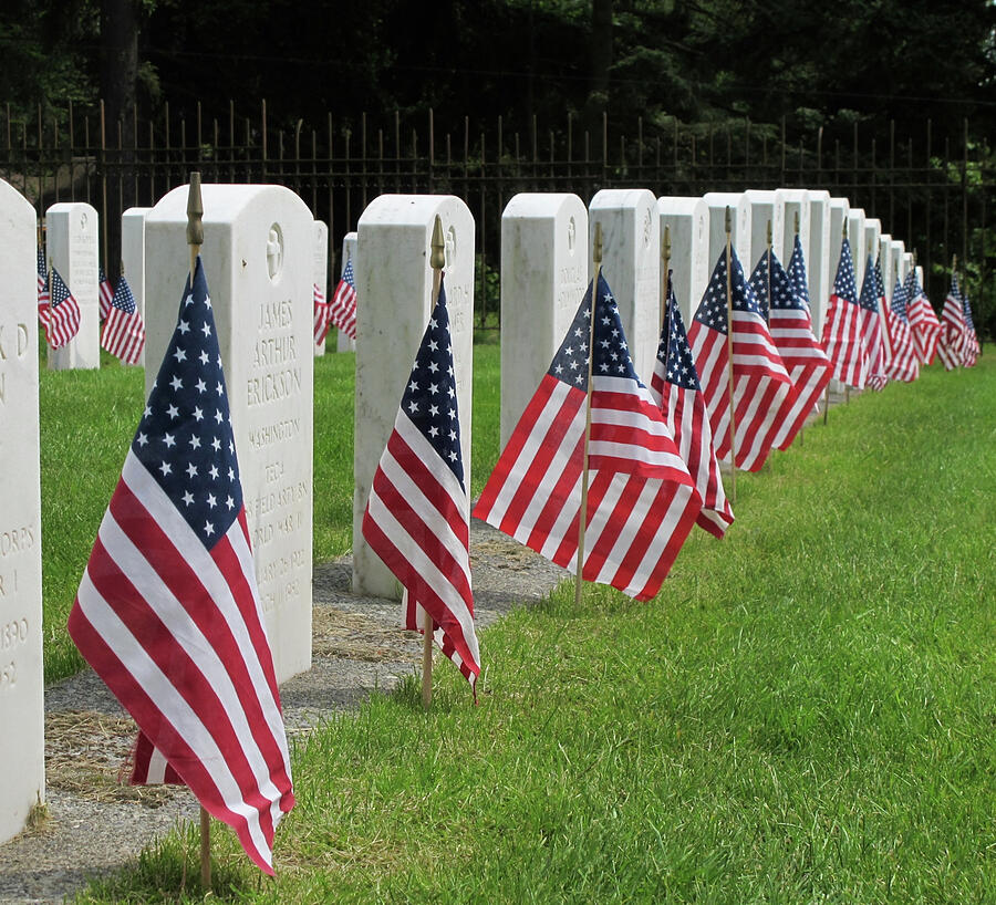 Flags of Honor Photograph by Shirley Stevenson Wallis - Fine Art America