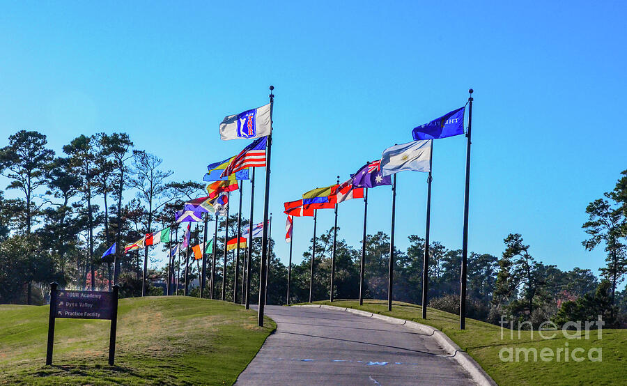 Flags of TPC Sawgrass Photograph by Randy J Heath