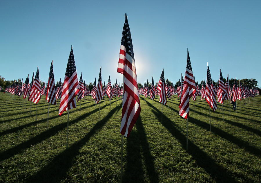 Flags of Valor - 2016 Photograph by Harold Rau