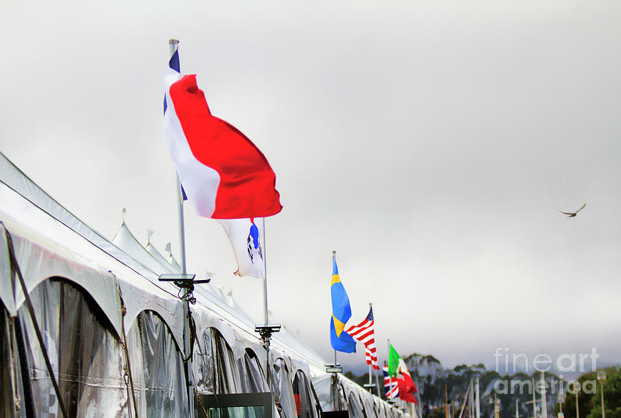 Flags Tent Area Americas Cup  Photograph by Chuck Kuhn