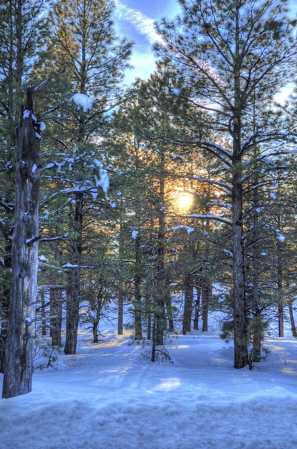 Winter Photograph - Flagstaff Sunset by Kelly Wade