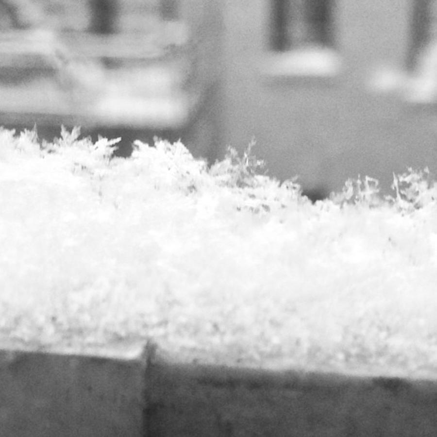 Flakes Photograph - #flakes by Ben Berry Flakes Photograph - #flakes by Ben Berry