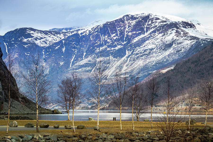 Flam Park Aurlandsfjord Photograph by Adam Rainoff