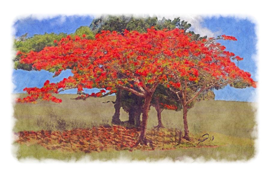Nature Painting - Flamboyan II by Yiries Saad