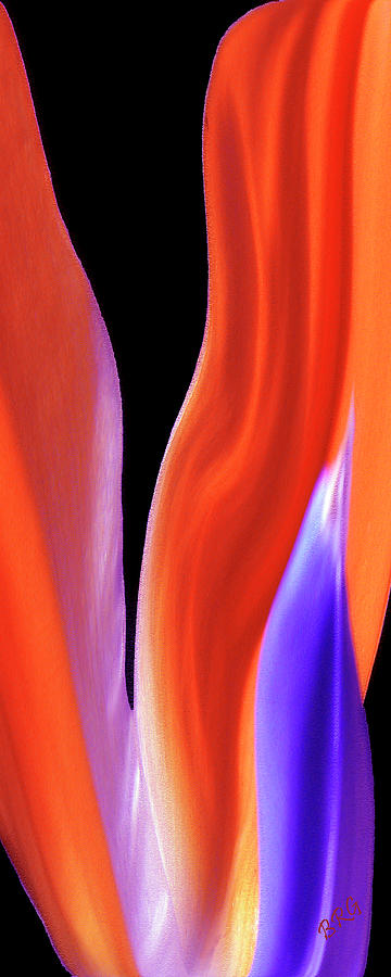 Flame - Bird Of Paradise Photograph