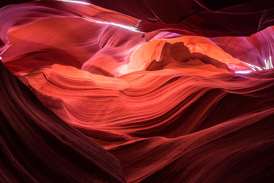 Flame by Brad Brizek Flame by Brad Brizek