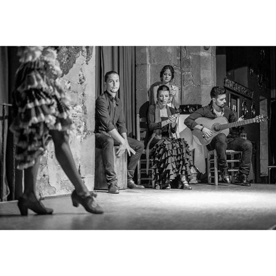 Cool Photograph - Flamenco At The Palau Dalmases by Marcelo Valente