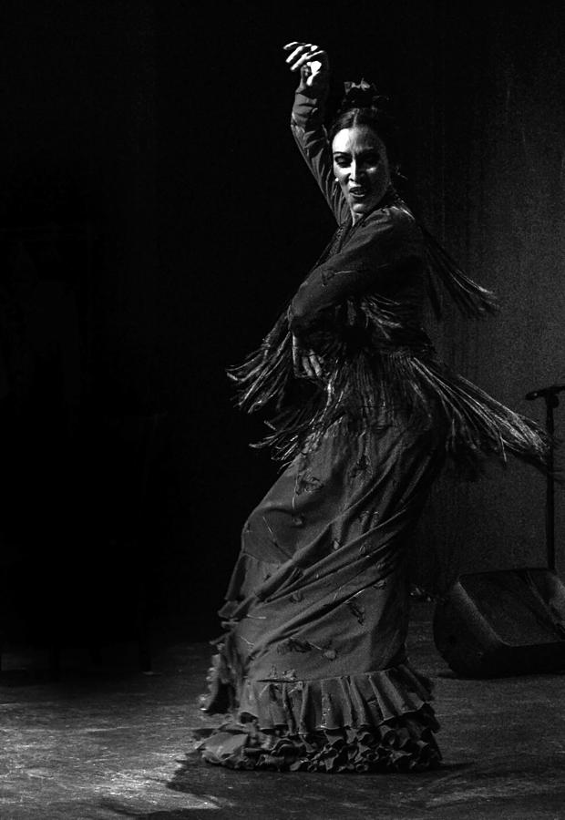 Miami Photograph - Flamenco Puro #4 by Michael Gora