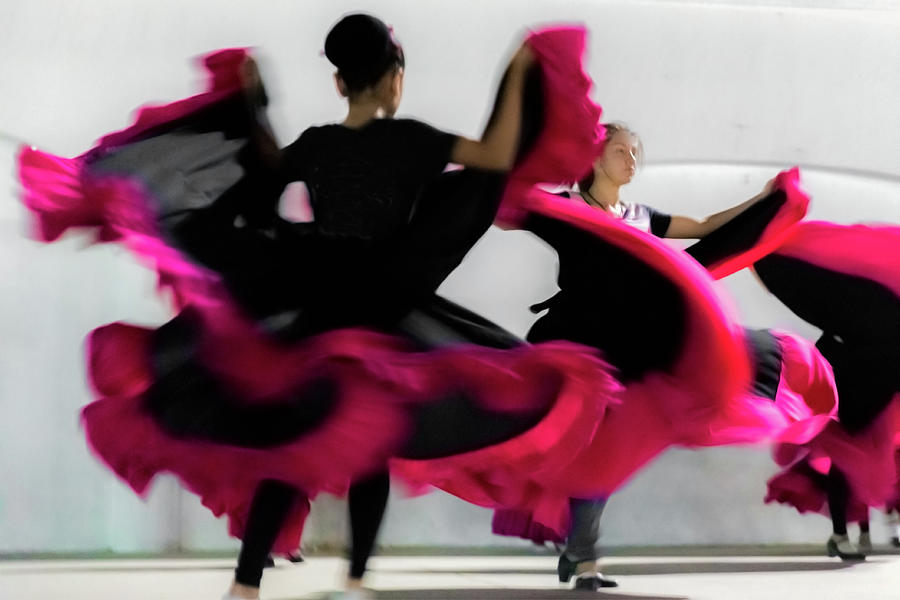 Flamenco Recital Photograph by Garry Loss