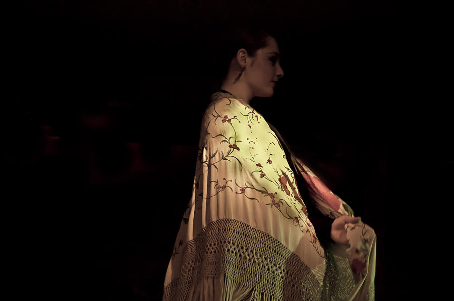 Flamenco Series 18 by Catherine Sobredo Flamenco Series 18 by Catherine Sobredo