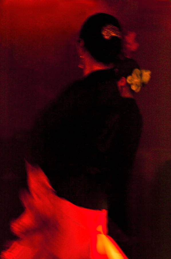 Flamenco Series 25 Photograph by Catherine Sobredo