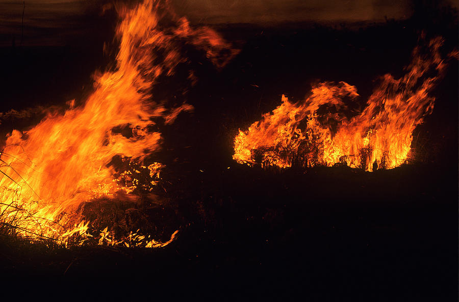 Flames at Dusk Photograph by Robert Potts