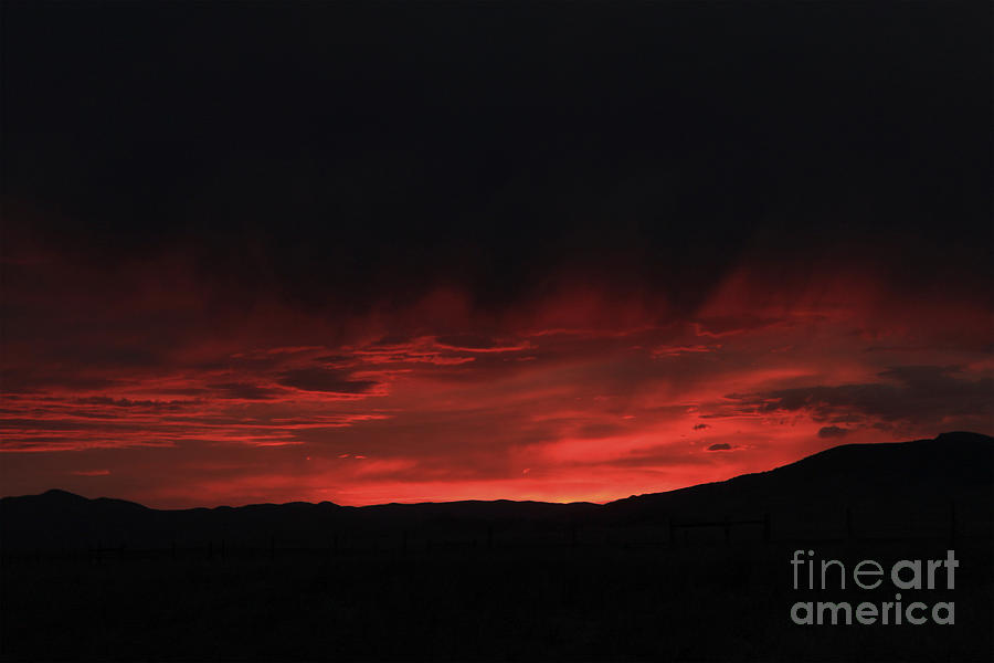 Sunset Photograph - Flames in the Sky by Carolyn Brown