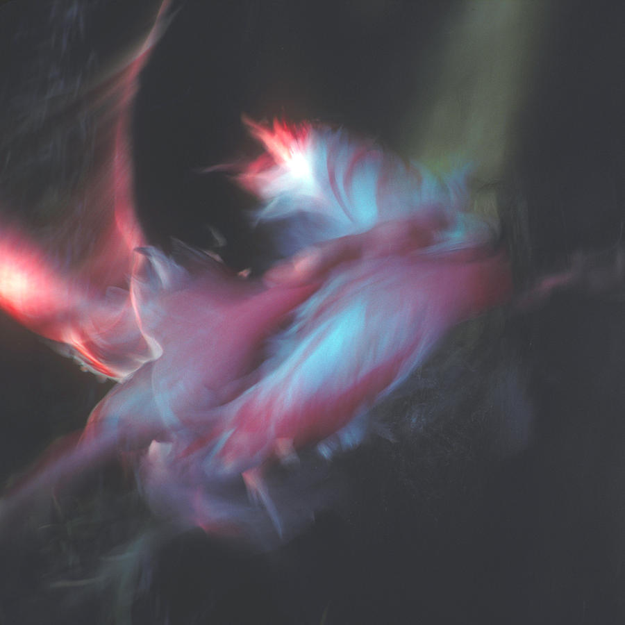Flames Photograph - Flames of Passion by Ralph Fahringer Flames Photograph - Flames of Passion by Ralph Fahringer