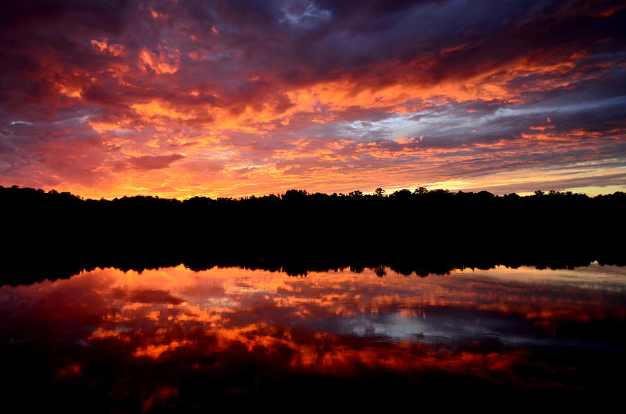 Flames of the Sun Photograph by JocyHope - Fine Art America