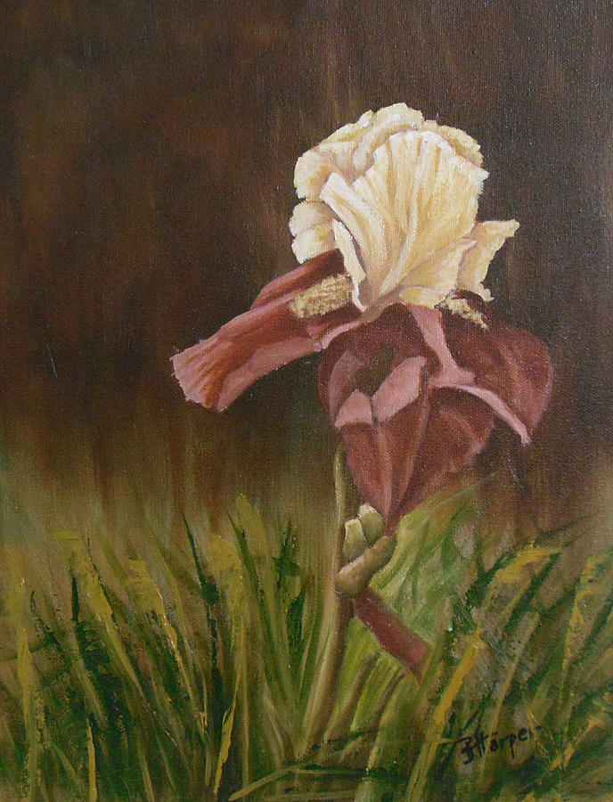 Iris Painting - Flaming Bearded Iris by Barbara Harper