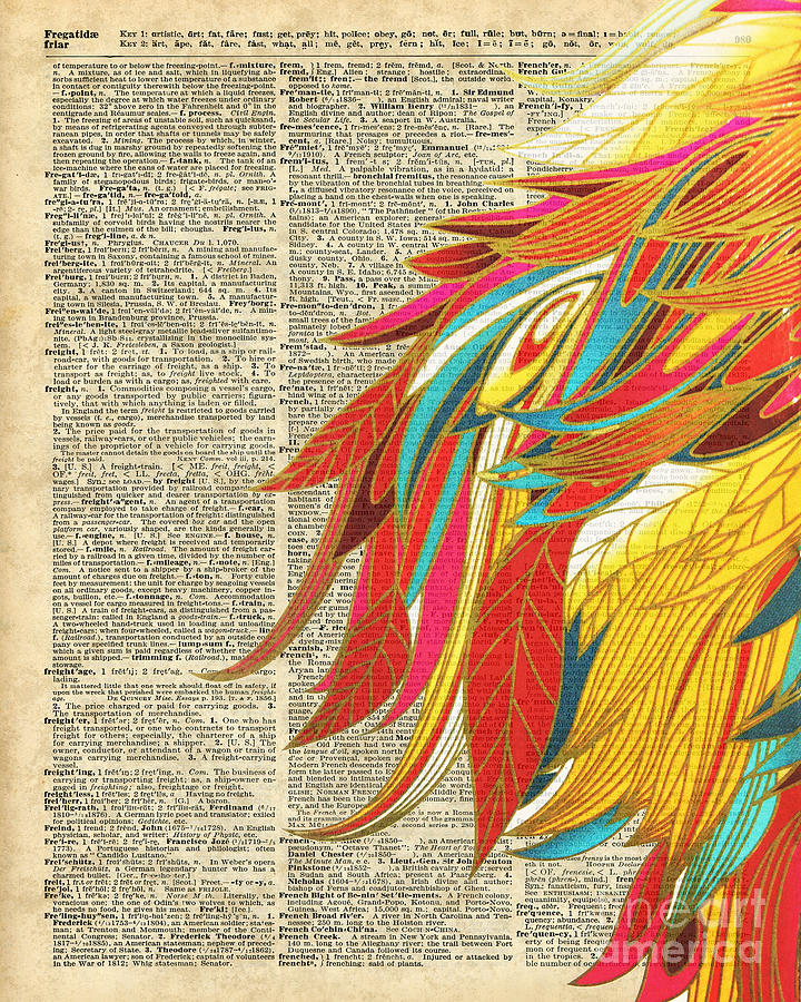 Feather Digital Art - Flaming Colourful Feathers by Anna W