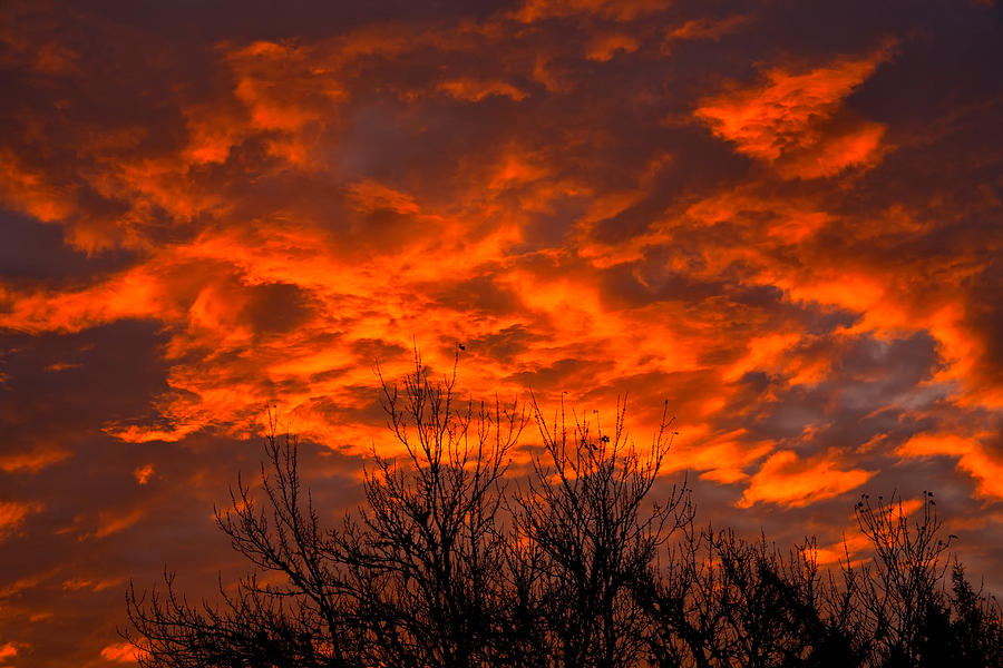 Flaming Dawn Photograph by Irwin Barrett