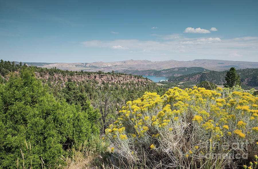 Flaming Gorge Chamisa by Patricia Gould Flaming Gorge Chamisa by Patricia Gould