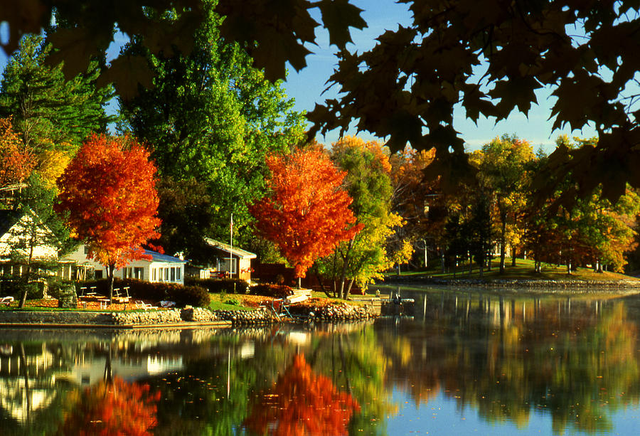 Fall Photograph - Flaming Maples by Roger Soule Fall Photograph - Flaming Maples by Roger Soule