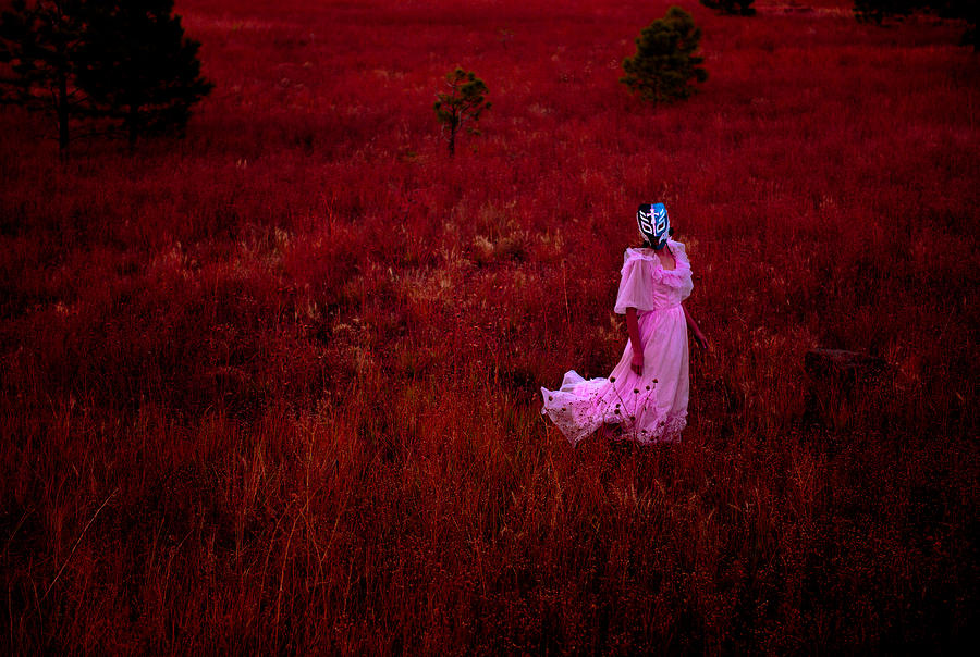 Flaming Pink Photograph by Scott Sawyer