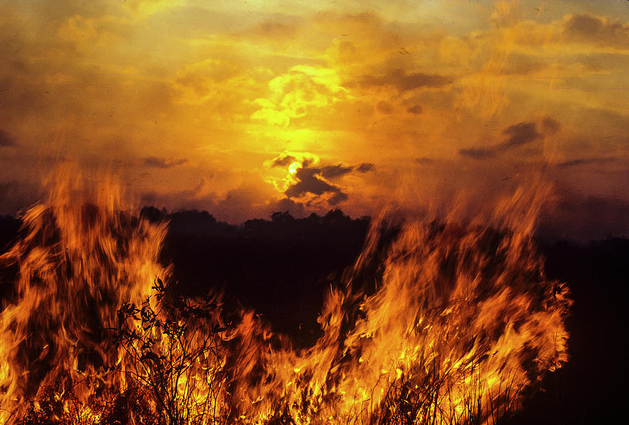 Flaming Sunset Photograph by Robert Potts