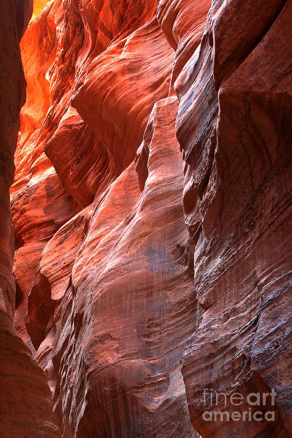 Flaming Walls Of Sandstone Photograph by Adam Jewell