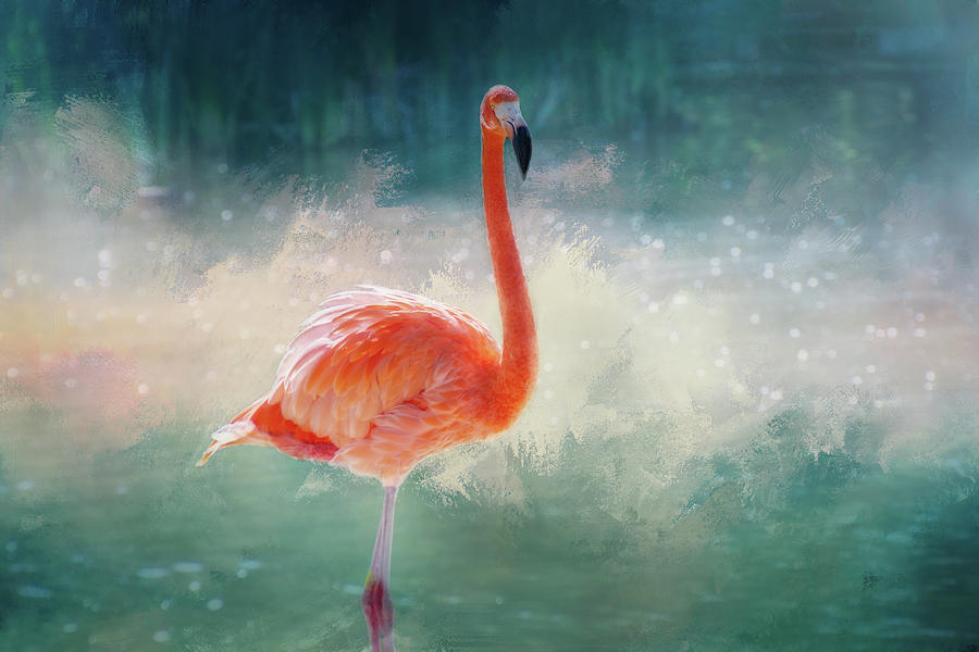 Flamingo and Water Digital Art by Terry Davis
