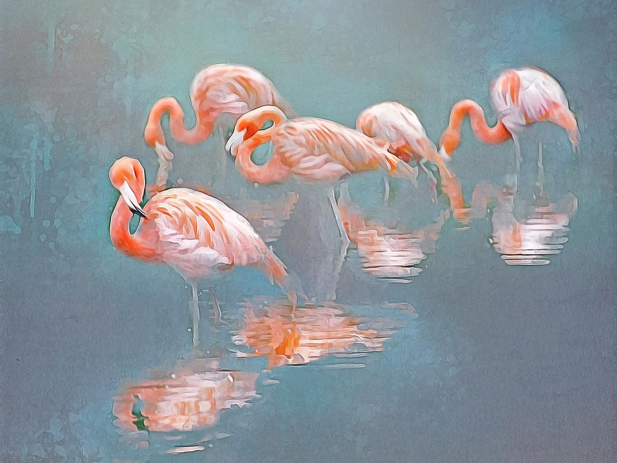 Flamingo Blues Photograph by Brian Tarr
