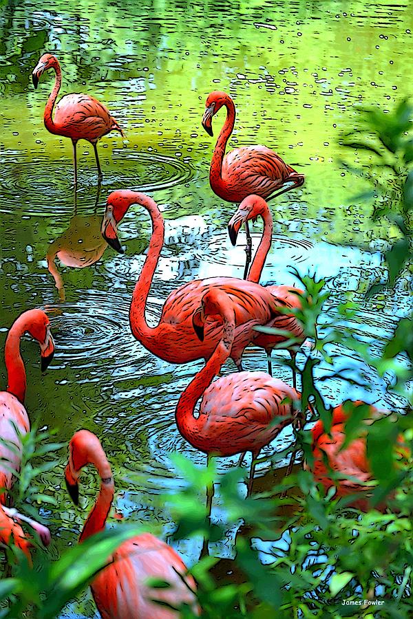 dancers workshop flamingo dance