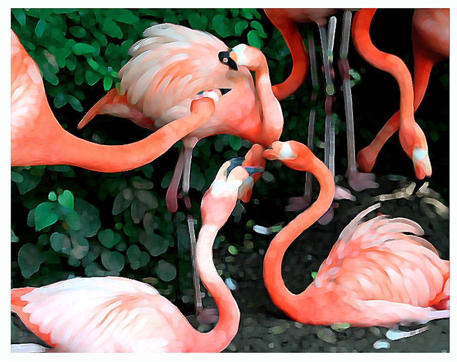 Flamingo dance Digital Art by Leo Malboeuf