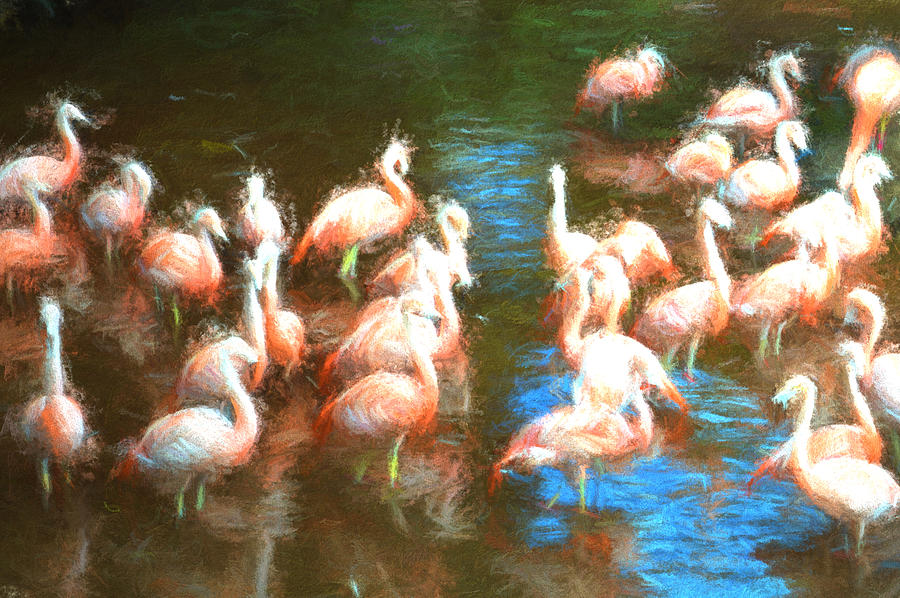 Flamingo Painting - Flamingo dance by Sharon Lisa Clarke