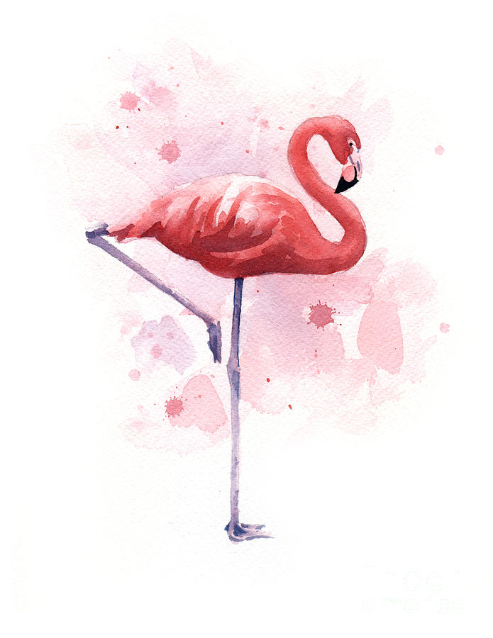 Flamingo Painting - Flamingo by David Rogers