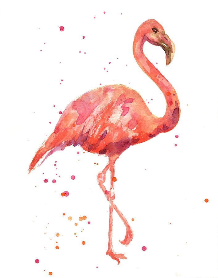 Flamingo Painting - Flamingo Facing Right by Alison Fennell