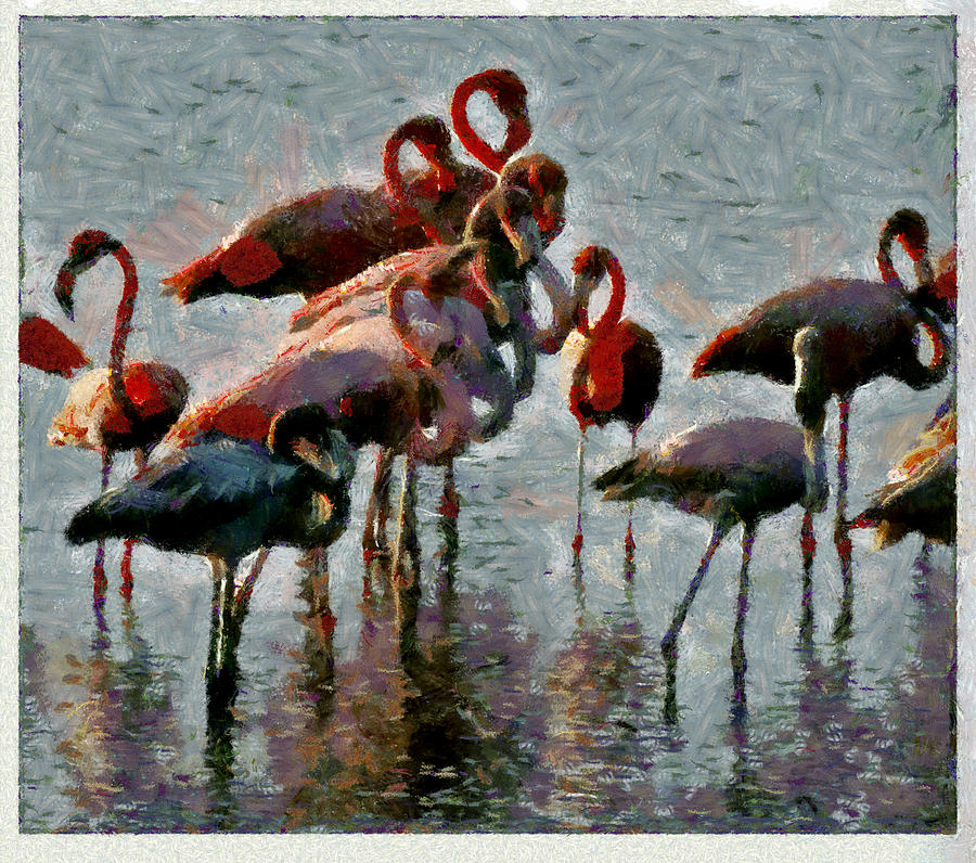 Flamingo Family Photograph by Galeria Trompiz